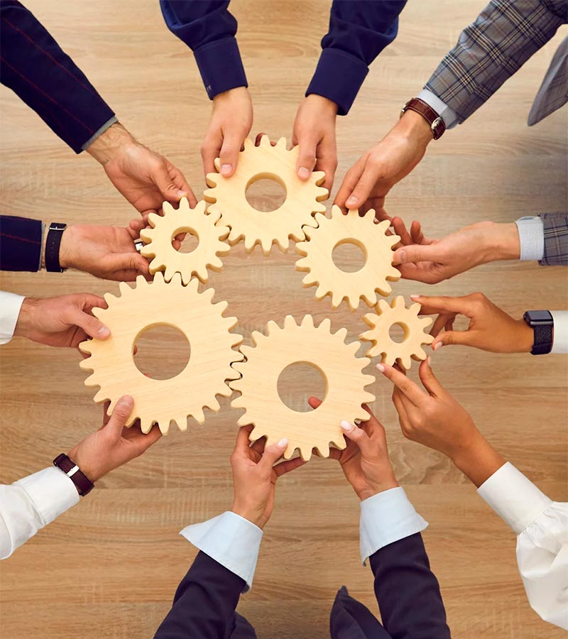consulenze-e-formazione-